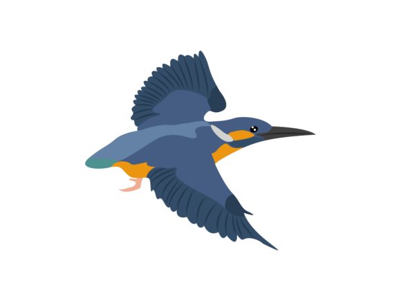 Alcedinidae Face Right Bird Animal: A Striking Design Asset