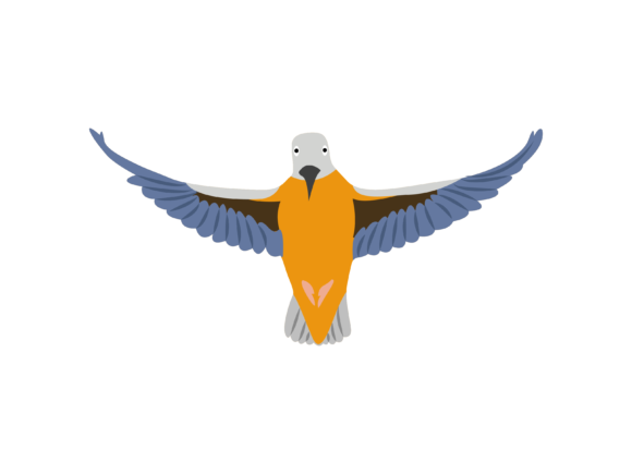 Alcedinidae Flaying Bird Animal: Bold Visuals for Creative Projects
