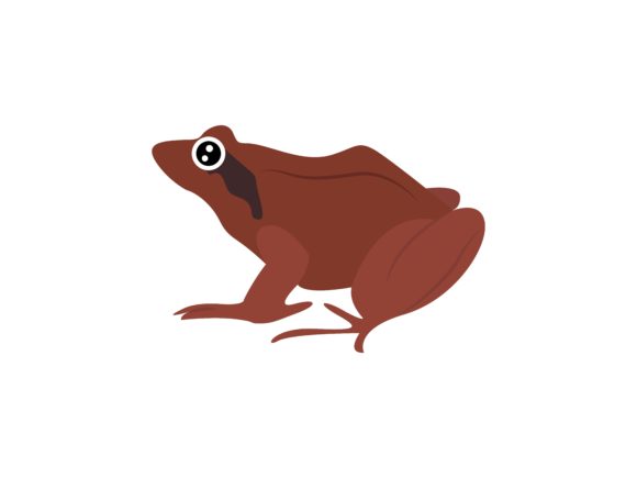 Beyond Typography: The Creative Power of Brown Frog Animal