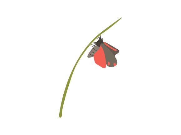 Designing with Hesperiidae: A Versatile Illustration