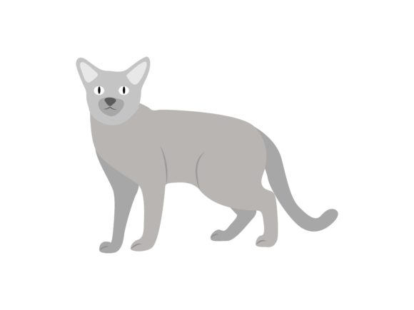 Designing with the Peterbald Cat Face Left Animal Illustration
