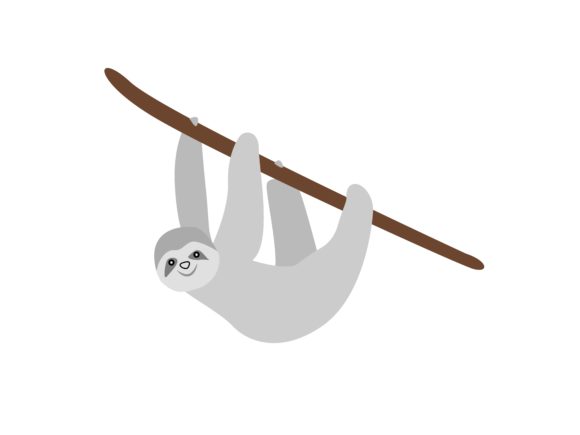 Discover the Charm of Sloth Walking Animal