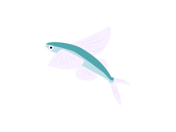Discovering the Flying Fish Animal: A Designer’s Creative Asset