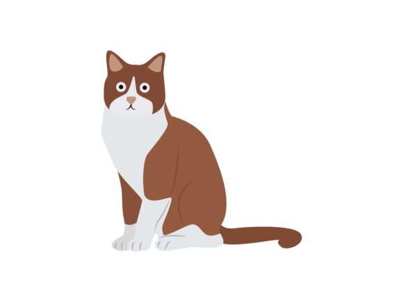 Exploring the Bold Character of American Cat Stand Animal