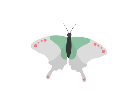 Exploring the World of Attacus Atlas Butterfly Animal