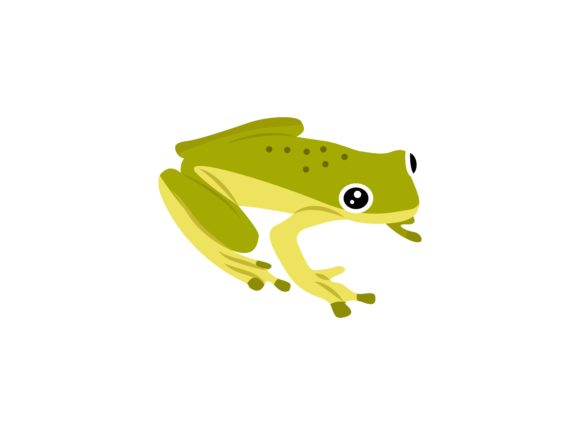 Hylidae Frog Animal: A Designer's Charming Illustration Asset