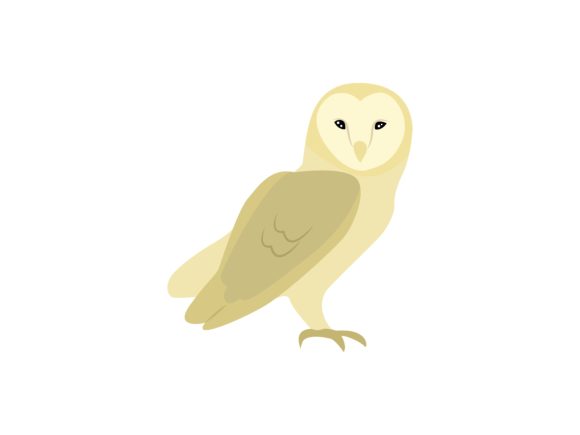 Owl Bird Animal: A Versatile Illustration for Creative Projects