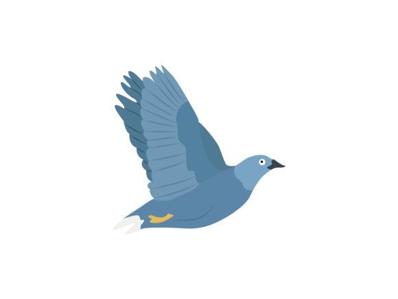 Pigeon Flaying Bird Animal: A Versatile Design Asset for Every Creator