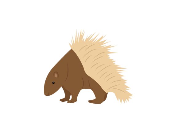 Porcupine Animal: Quirky Illustrations for Bold Design