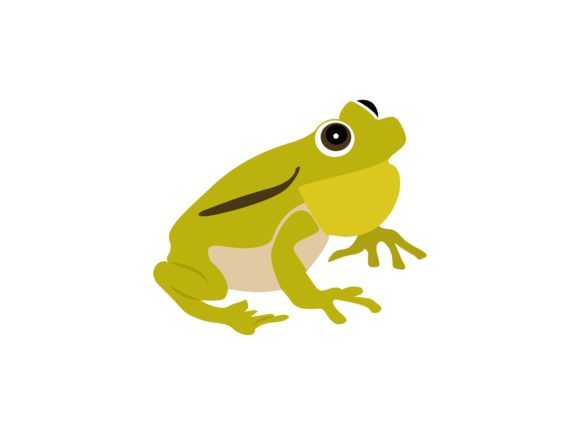 Rana Hosii Boulenger Frog: Nature's Charming Design Asset
