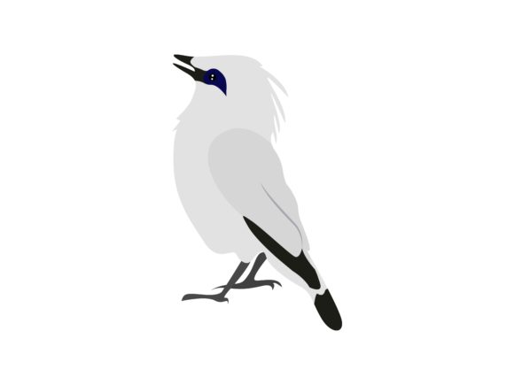 The Bali Starlings Bird Animal: A Designer's Guide to This Exotic Illustration