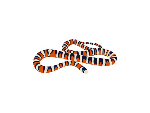 The Garter Snake Animal: A Striking Visual for Modern Design