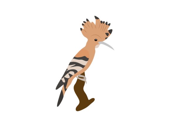 The Hoopoe Bird: A Bold Symbol for Creative Projects