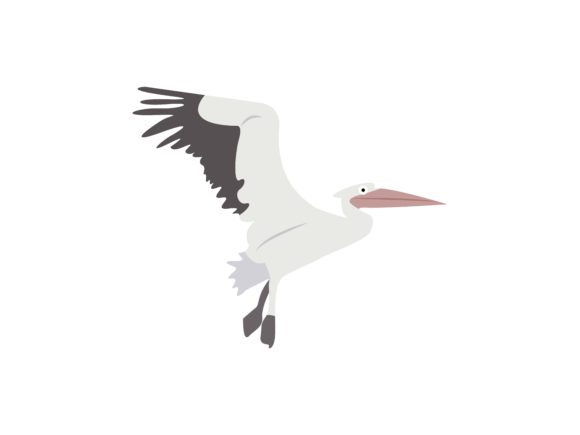 The Versatile Pelicans Bird Animal: Design Asset Guide
