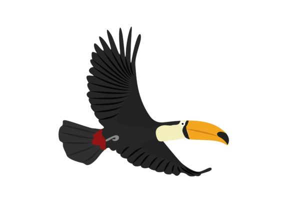 The Wild Allure of Flaying Rhampastosidae Bird Animal