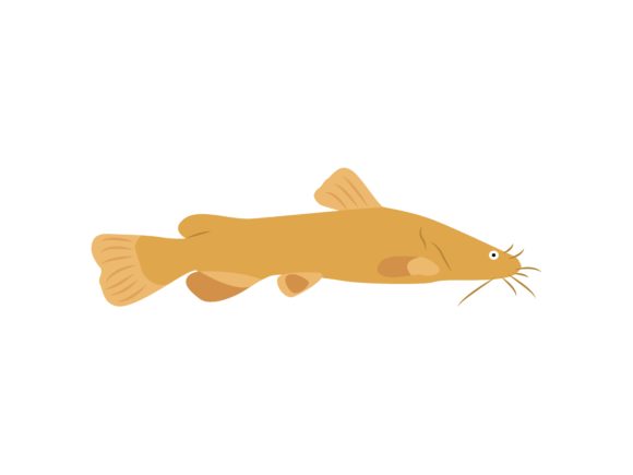 Unleashing Creative Energy with the Catfish Animal Illustration