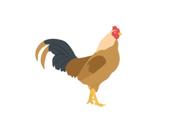 Unleashing Creativity with Rooster Animal Illustrations