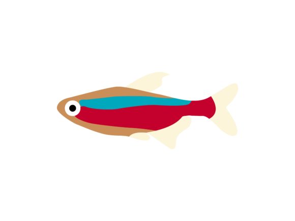 Visualizing Vibrancy: The Paracheirodon Axelrodi Fish Animal