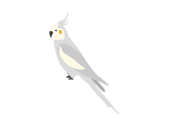 Weiro Bird Animal: A Designer's Guide to This Charming Illustration