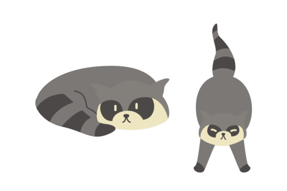 Why the Cute Raccoon Vector is a Must-Have Design Asset